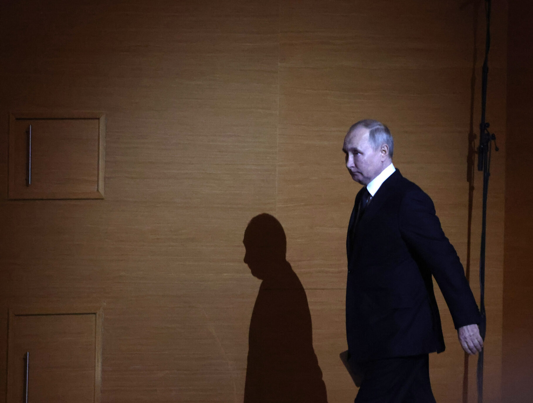 The Putin Myth  Journal of Democracy